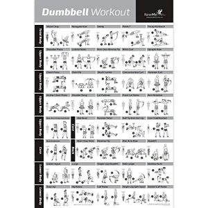 NewMe Fitness Dumbbell Workout Exercise Poster - NOW LAMINATED - Strength Training Chart - Build Muscle  Tone   Tighten - Home Gym Weight Lifting Routine - Body Building Guide w Free Weights